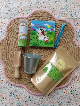 Mini zestaw do zabaw sensorycznych KOLOR - zielony